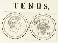 Picture 27 of 65 from Thesaurus ex Thesauro Palatino selectus, sive, Gemmarum et numismatum quae in electorali cimeliarchio continentur elegantiorum aere expressa, et convenienti commentario illustrata dispositio (1685), leaf 270