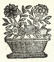 An illustration from Thesaurus numismatum, antiquorum & recentiorum, ex auro, argento, & aere : ab illustriss. & excellentiss. D.D. Petro Mauroceno ... Serenissimae Reipublicae legatus, etc (1683)