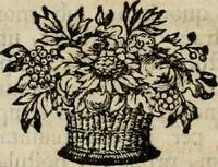 An illustration from Thesaurus nummorum sueo-gothicorum : studio indefesso Eliae Brenneri L. annorum spatio collectus, secundum seriem temporum dispositus, atqve e tenebris, cum commentatione in apricum prolatus ; accessit ejusdem auctoris Libellus de nummophylaciis Sveciae: de scriptoribus rei nummariae svethicae, atque de thesauris, seu variis vetustorum nummorum cumulis, passim per Sveoniam fortuito casu repertis (1731)