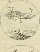 An illustration from Thesaurus nummorum sueo-gothicorum : studio indefesso Eliae Brenneri L. annorum spatio collectus, secundum seriem temporum dispositus, atqve e tenebris, cum commentatione in apricum prolatus ; accessit ejusdem auctoris Libellus de nummophylaciis Sveciae: de scriptoribus rei nummariae svethicae, atque de thesauris, seu variis vetustorum nummorum cumulis, passim per Sveoniam fortuito casu repertis (1731)