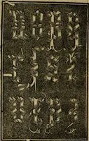 An illustration from Thesavro de scrittori : opera artificiosa, laquale con grandissima arte, si per pratica come per geometria, insegna a scriuere diuerse sorte littere, cioe cancellerescha, merchantescha, formata, cursiua, antiqua, moderna et bastarda, de piu sorte : cum uiarij e bellissimi exempli & altre sorte littere de uarie lingue, cioe grecha, hebraicha, caldea & arabicha : tutte extratte da diuersi et probatissimi auttori, & massimamente da lo praeclarissimo Sigismvndo Fanto, nobile ferrarese, mathematico et architettore eruditissimo, dele mesure e ragione de littere primo inuentore (1532)