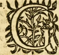 An illustration from Theses sabbaticae, or, The doctrine of the Sabbath : wherein the Sabbaths I. Morality, II. Change, III. Begining, IV. Sanctification, are clearly discussed : which were first handled more largely in sundry sermons in Cambridge in New-England ... (1649)