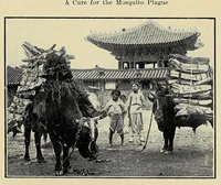 Picture 5 of 7 from Things Korean : a collection of sketches and anecdotes, missionary and diplomatic (1908), leaf 165