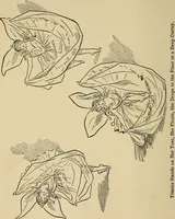 An illustration from Things worth doing and how to do them (1906)