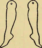 An illustration from Things worth doing and how to do them (1906)