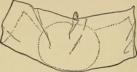 An illustration from Things worth doing and how to do them (1906)