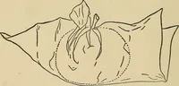 An illustration from Things worth doing and how to do them (1906)