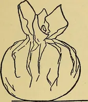 An illustration from Things worth doing and how to do them (1906)