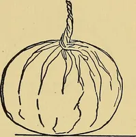 An illustration from Things worth doing and how to do them (1906)