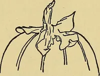 An illustration from Things worth doing and how to do them (1906)