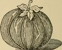 An illustration from Things worth doing and how to do them (1906)