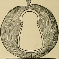 An illustration from Things worth doing and how to do them (1906)