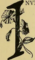An illustration from Things worth doing and how to do them (1906)