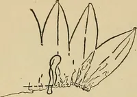 An illustration from Things worth doing and how to do them (1906)