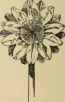 An illustration from Things worth doing and how to do them (1906)
