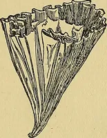 An illustration from Things worth doing and how to do them (1906)