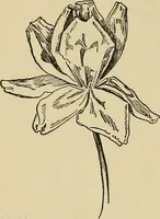 An illustration from Things worth doing and how to do them (1906)