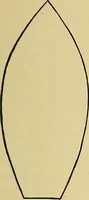 An illustration from Things worth doing and how to do them (1906)