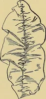 An illustration from Things worth doing and how to do them (1906)