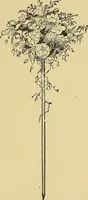 An illustration from Things worth doing and how to do them (1906)