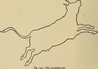 An illustration from Things worth doing and how to do them (1906)