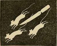 An illustration from Things worth doing and how to do them (1906)