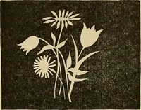An illustration from Things worth doing and how to do them (1906)