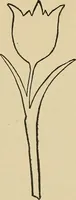 An illustration from Things worth doing and how to do them (1906)