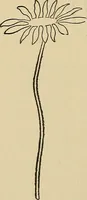 An illustration from Things worth doing and how to do them (1906)