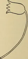 An illustration from Things worth doing and how to do them (1906)