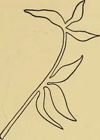 An illustration from Things worth doing and how to do them (1906)