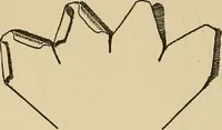 An illustration from Things worth doing and how to do them (1906)