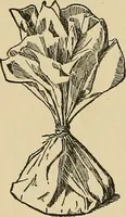 An illustration from Things worth doing and how to do them (1906)