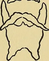An illustration from Things worth doing and how to do them (1906)