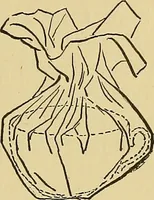 An illustration from Things worth doing and how to do them (1906)