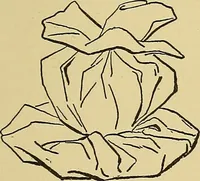An illustration from Things worth doing and how to do them (1906)