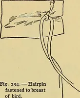 An illustration from Things worth doing and how to do them (1906)
