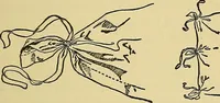 An illustration from Things worth doing and how to do them (1906)