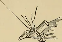 An illustration from Things worth doing and how to do them (1906)