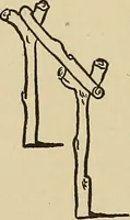 An illustration from Things worth doing and how to do them (1906)