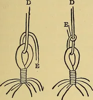 An illustration from Things worth doing and how to do them (1906)