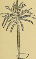 An illustration from Things worth doing and how to do them (1906)