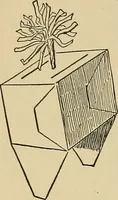 An illustration from Things worth doing and how to do them (1906)
