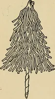 An illustration from Things worth doing and how to do them (1906)