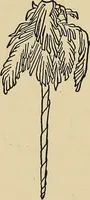 An illustration from Things worth doing and how to do them (1906)