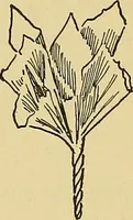 An illustration from Things worth doing and how to do them (1906)