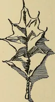 An illustration from Things worth doing and how to do them (1906)