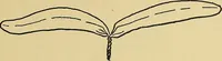 An illustration from Things worth doing and how to do them (1906)