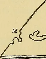 An illustration from Things worth doing and how to do them (1906)