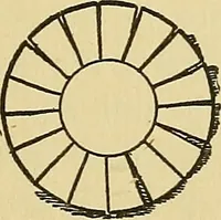 An illustration from Things worth doing and how to do them (1906)